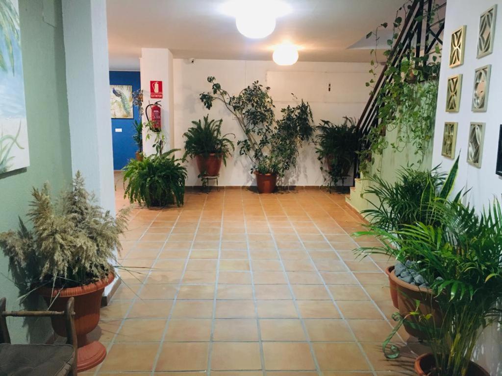 Manilva Playa Daire Dış mekan fotoğraf